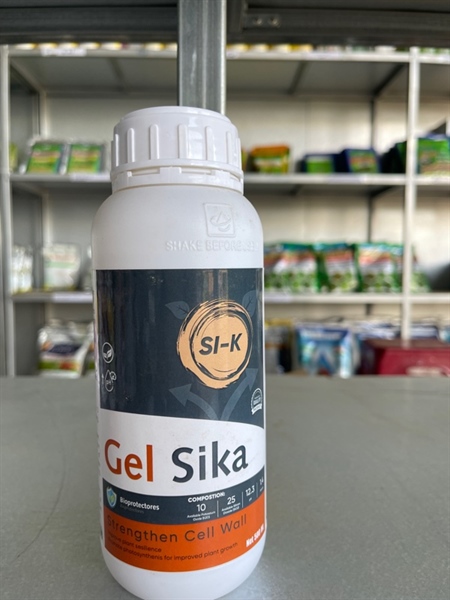 GEL SIKA