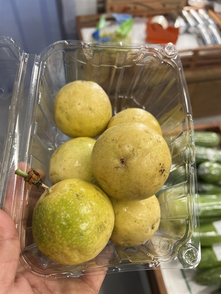 Chanh dây ổi - Dalat SE