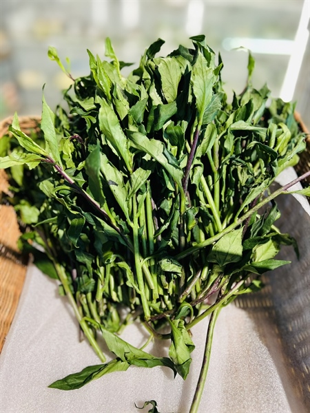 Rau rừng - Dalat SE