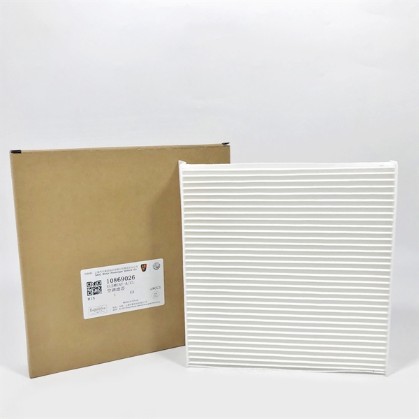 Lọc gió điều hòa MG RX5 (10170262-10274214)