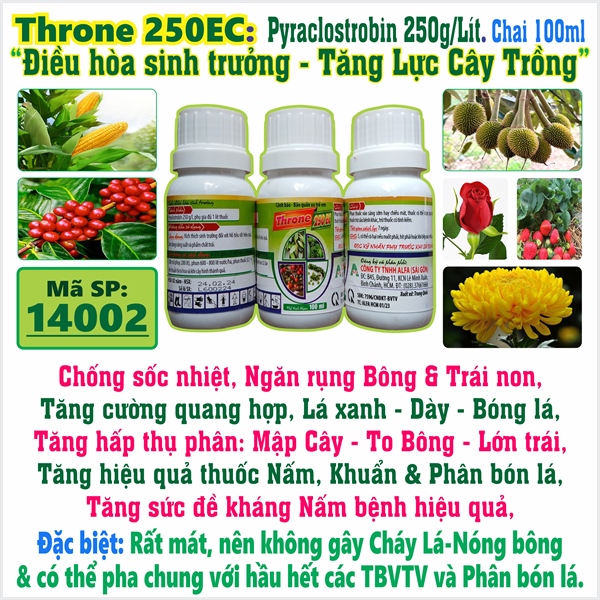 Throne 250EC, chai 100ml. 3*