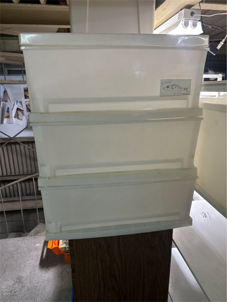 Tủ nhựa 3 ngăn trắng đục