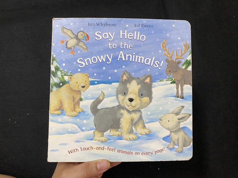 Say hello to snowy animals!