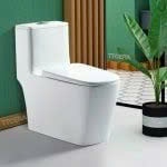 Bồn Cầu 1 Khối BC035