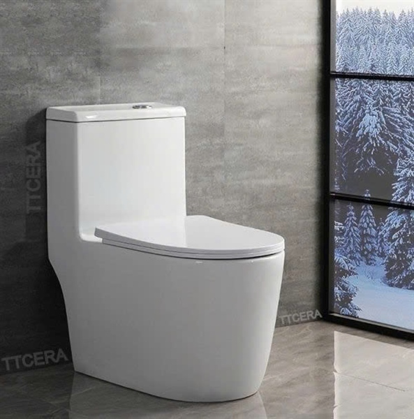 Bồn Cầu 1 Khối BC039