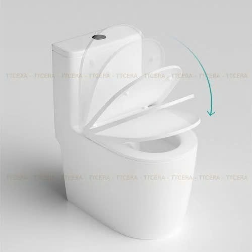 Bồn Cầu 1 Khối BC060