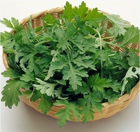 Rau ngải cứu (100g)