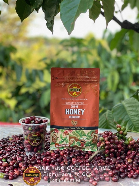 HONEY Organic - Vietnam Espresso Coffee Bean - 100% Robusta