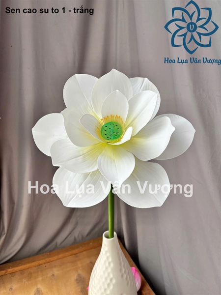 Sen cao su to 1 - Sen - Hoa Lụa Vân Vượng