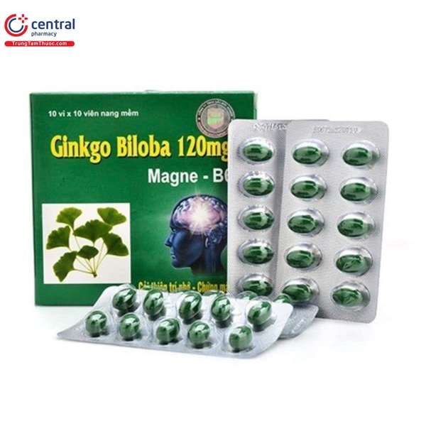GINKO BILOBA 120MG THANH HẰNG