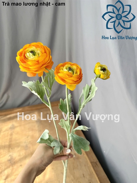 Trà mao lương nhật - cam - Hoa cành dài - Hoa Lụa Vân Vượng