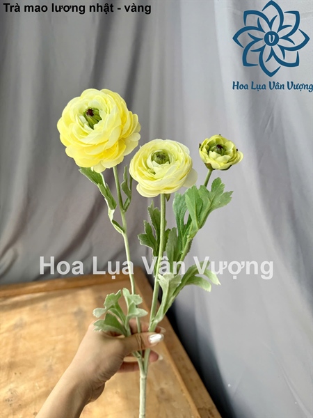 Trà mao lương nhật - vàng - Hoa cành dài - Hoa Lụa Vân Vượng