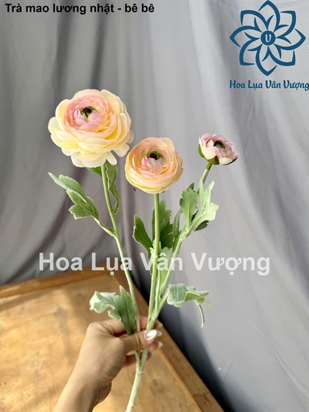 Trà mao lương nhật - bê - Hoa cành dài - Hoa Lụa Vân Vượng