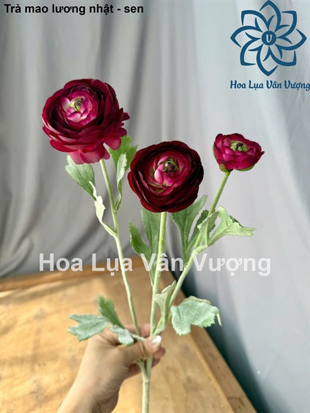 Trà mao lương nhật - sen - Hoa cành dài - Hoa Lụa Vân Vượng