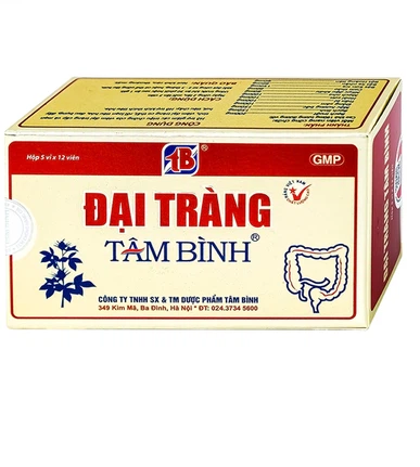 Viên uống Đại Tràng Tâm Bình hỗ trợ giảm các triệu chứng của viêm đại tràng cấp và mãn tính (5 vỉ x 12 viên)