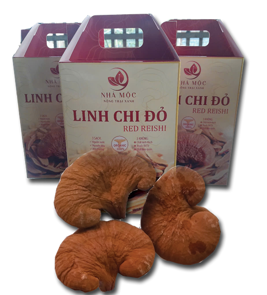 Nấm Linh Chi Đỏ Loại 1