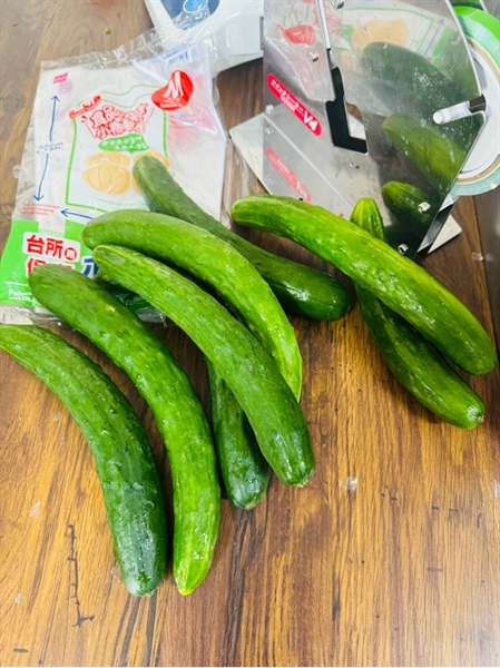 DƯA CHUỘT TÚI TO/きゅうり