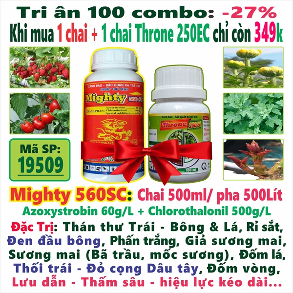 Combo Mighty 500ml + 1 chai Throne 250EC (4*)