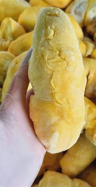 SẦU MONTHONG HỘP 500g/モントーンドリアン500g