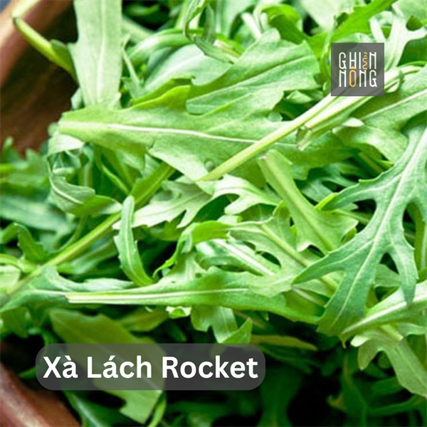 Xà Lách Rocket | 100g