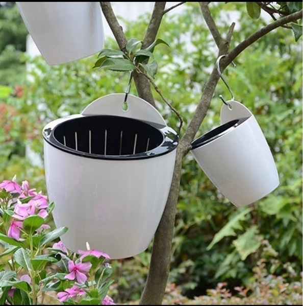 Chậu thủy sinh ốp tường 130