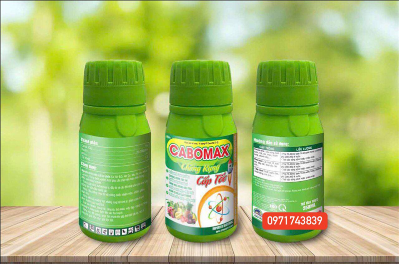 MỞ LÁ GIÀ LÁ EPNON-P520 250ml