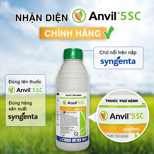 ANVIL 5SC Syngenta 1L