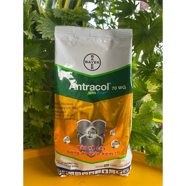 ANTRACOL 70WG 500gr