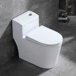 Bồn Cầu 1 Khối LEICA - BC T08