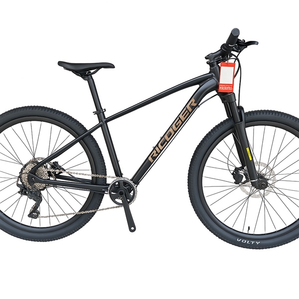 XE GIANT - 2024 TALON 2 đen 27.5x385 S