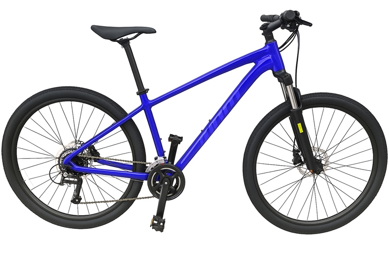 XE GIANT - 2024 ROAM 3 D Xanh 700x420 S
