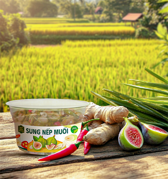 Sung nếp muối Nghi Khúc