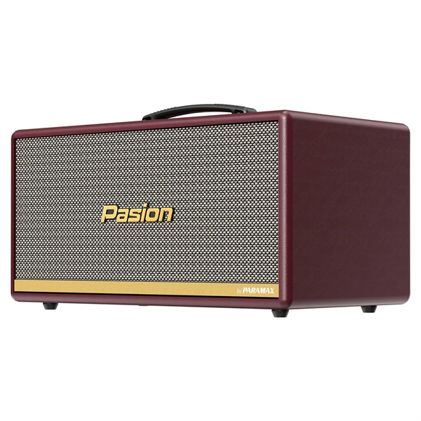 Loa xách tay Pasion 2 (Burgundy Leather)