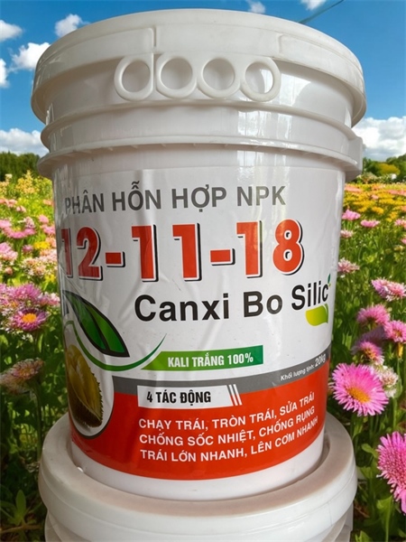 12-11-18 (CANXI BO SILIC)