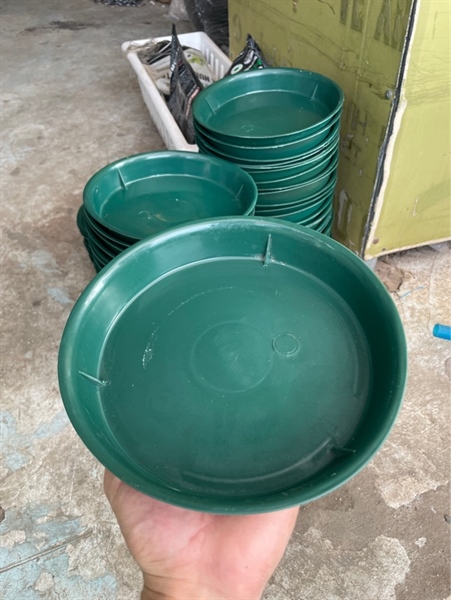 Đĩa tròn xanh 2 tấc