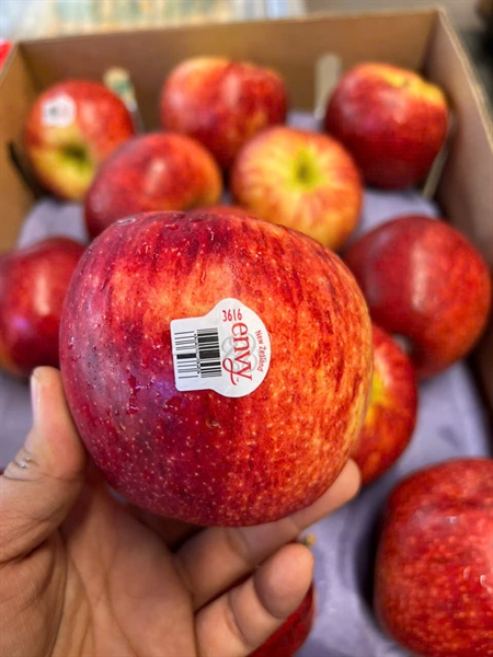 Táo envy newzealand S30