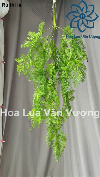 Rủ thì là - Rủ - Hoa Lụa Vân Vượng
