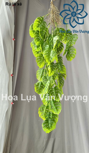 Rủ lá xẻ - Rủ - Hoa Lụa Vân Vượng
