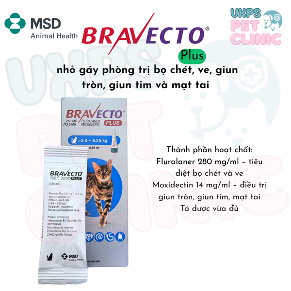 Nhỏ gáy cho mèo Bravecto Plus