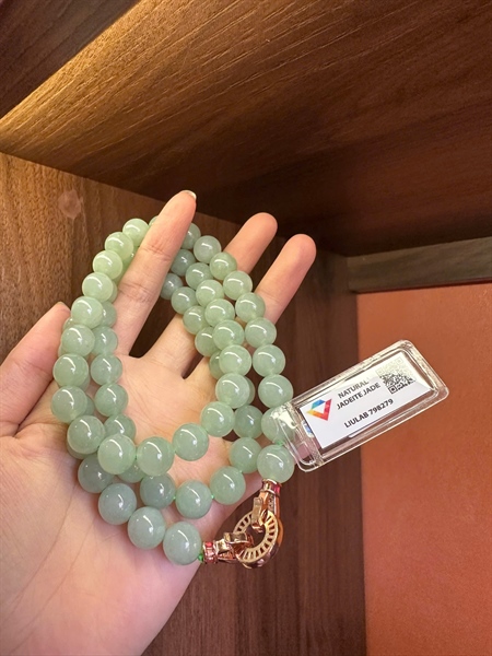 Chuỗi táo nhạt My 798279-KG ly10-65