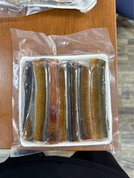 Lươn