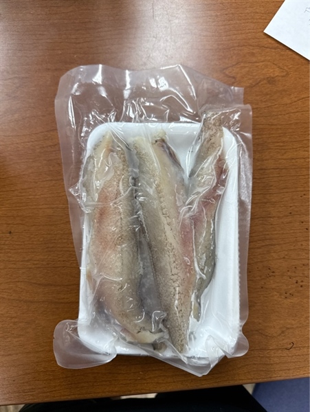 Cá Khoai
