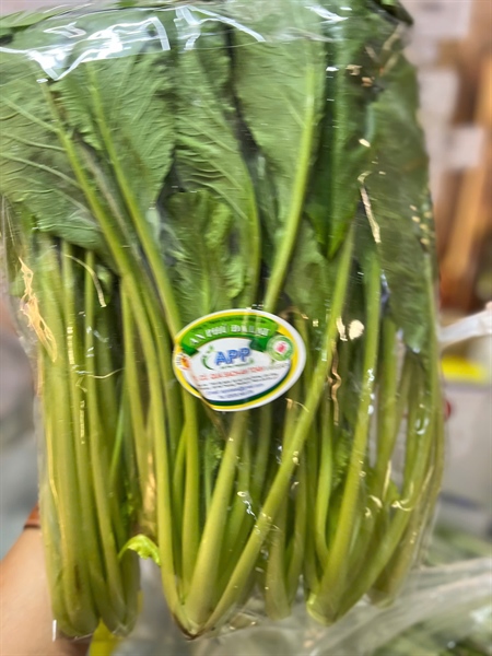 Cải ngọt - Viet Gap