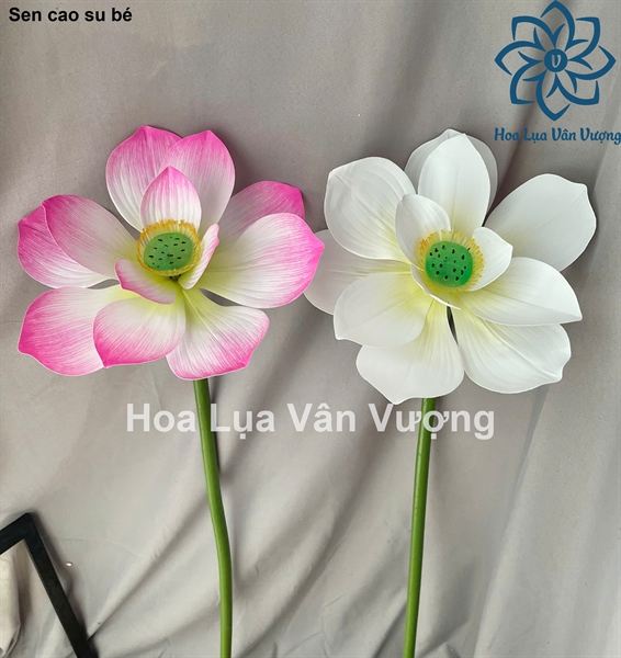 Sen cao su bé - trắng - Sen - Hoa Lụa Vân Vượng