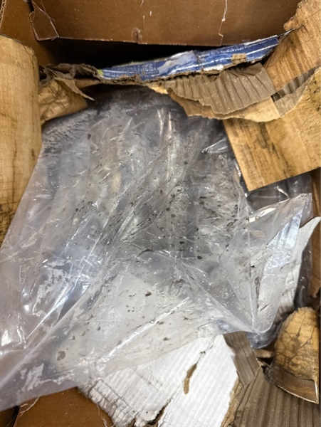 Mực Tươi