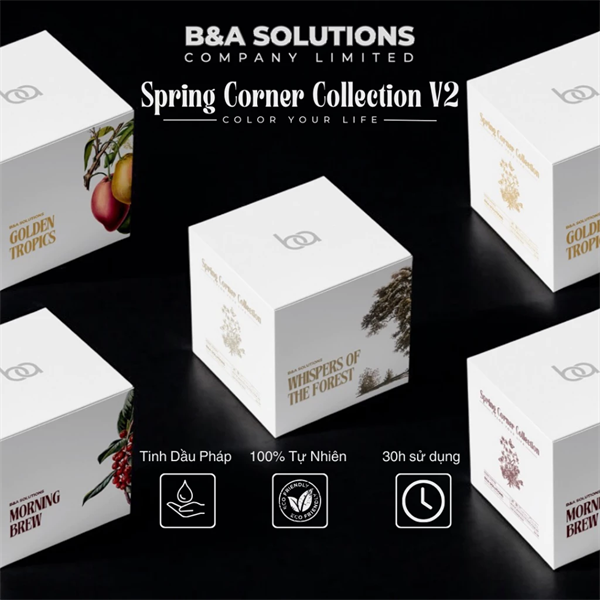 Spring Corner V2 - Nến Thơm Tự Nhiên 3 Mùi Hương Đặc Biệt