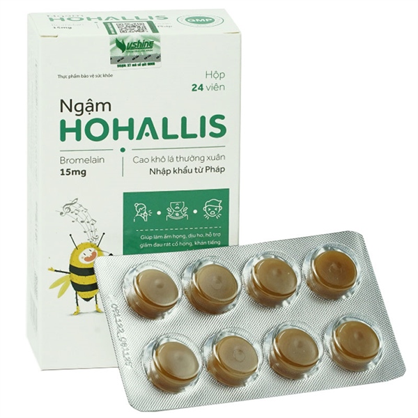 Ngậm ho Hallis (Hộp 4 vỉ x 6 viên) - Nasaki