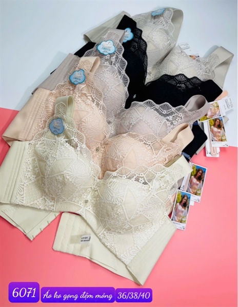 6071 áo ren định hình