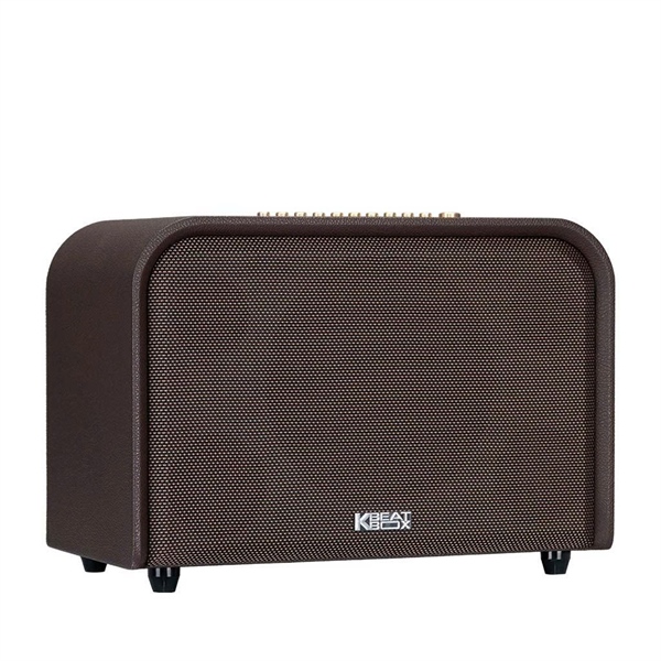 Loa Acnos Acoustic 3