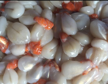 Trứng mực - 300gr